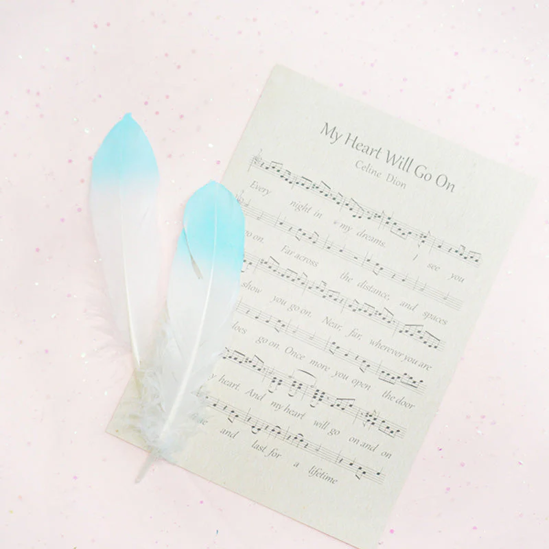 Ita Bag DIY Decoration Feather Accessories - Image 11
