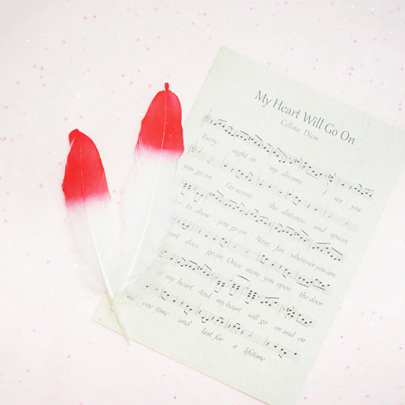Ita Bag DIY Decoration Feather Accessories - Image 12