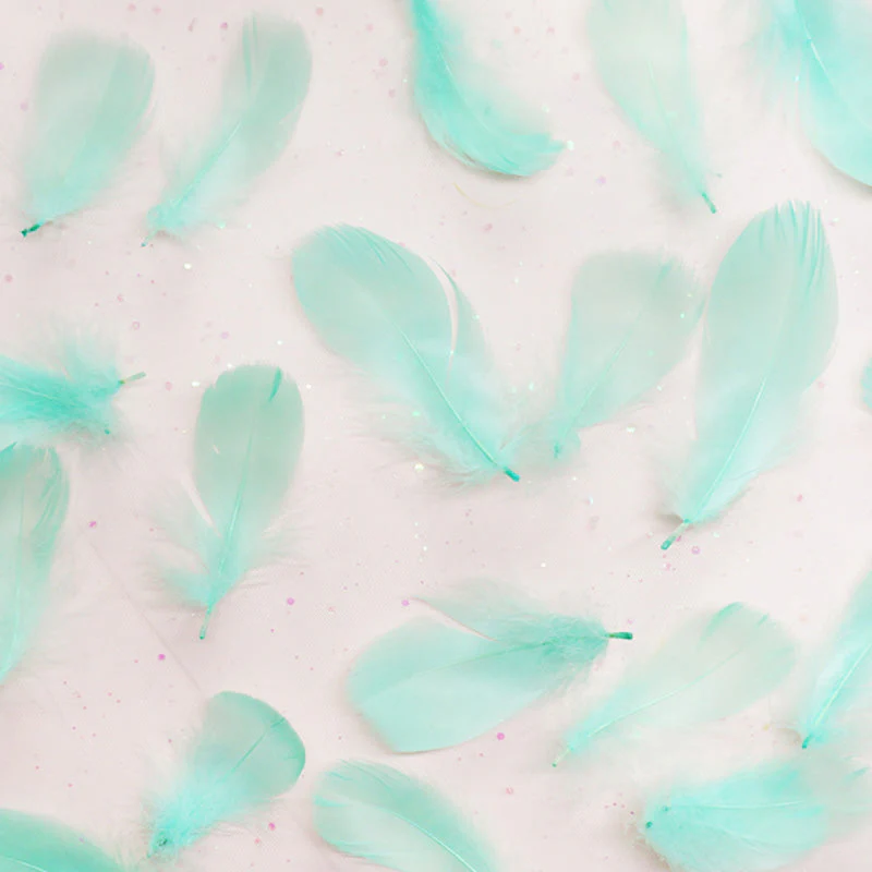 Ita Bag DIY Decoration Feather Accessories - Image 15