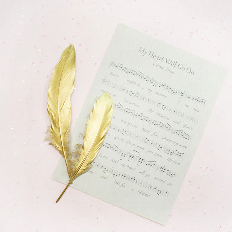 Ita Bag DIY Decoration Feather Accessories - Image 2