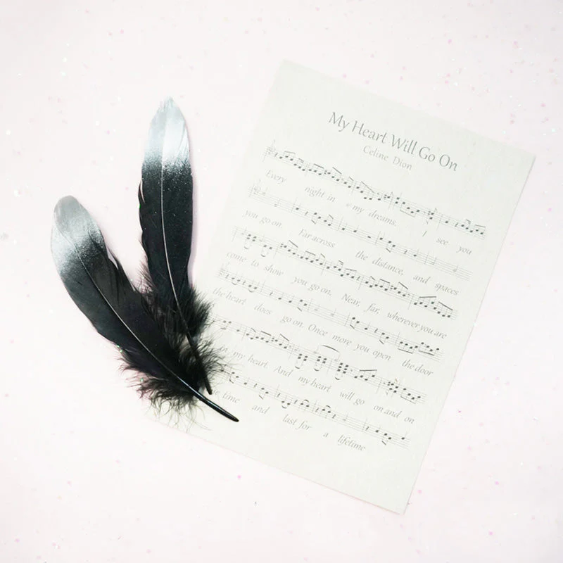 Ita Bag DIY Decoration Feather Accessories - Image 6