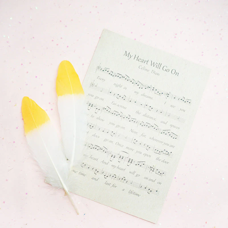Ita Bag DIY Decoration Feather Accessories - Image 9