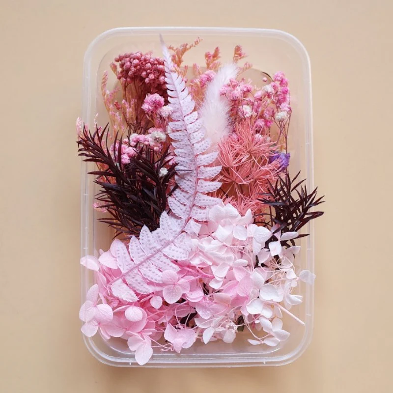 Preserved Flowers for Crafts - Image 13