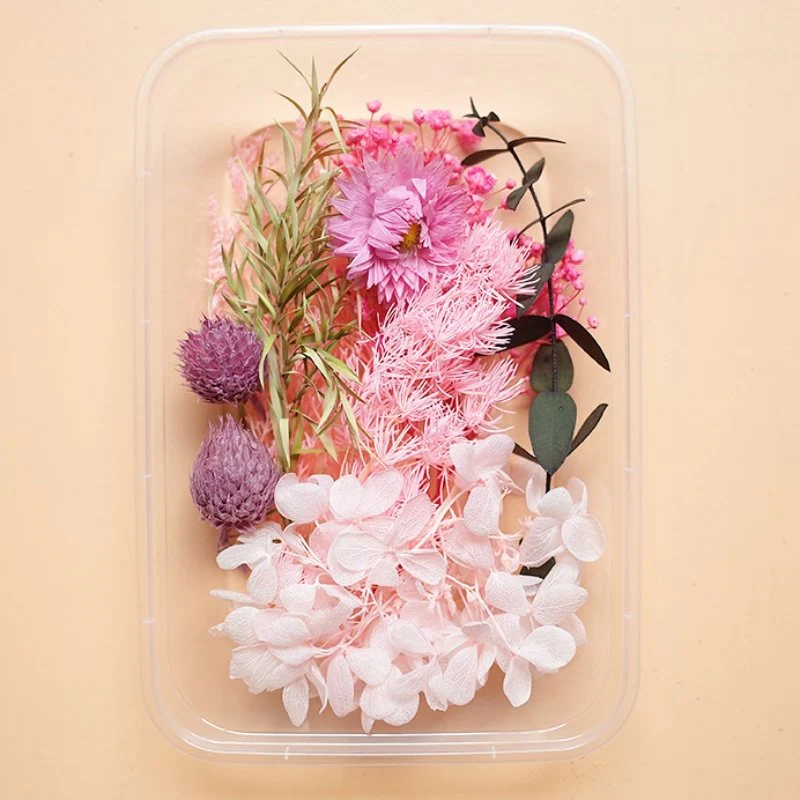 Preserved Flowers for Crafts - Image 15