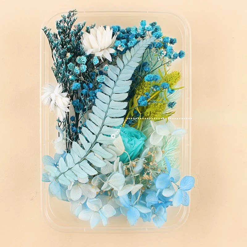 Preserved Flowers for Crafts - Image 16