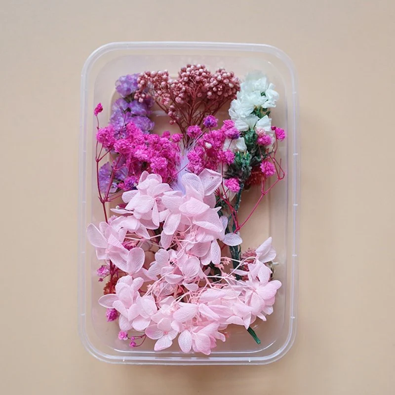 Preserved Flowers for Crafts - Image 20