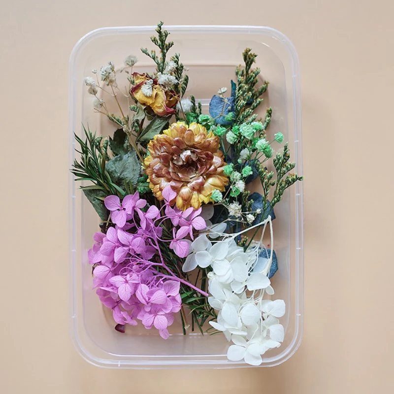 Preserved Flowers for Crafts - Image 24