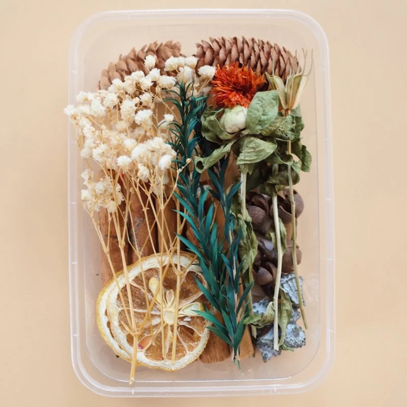 Preserved Flowers for Crafts - Image 29