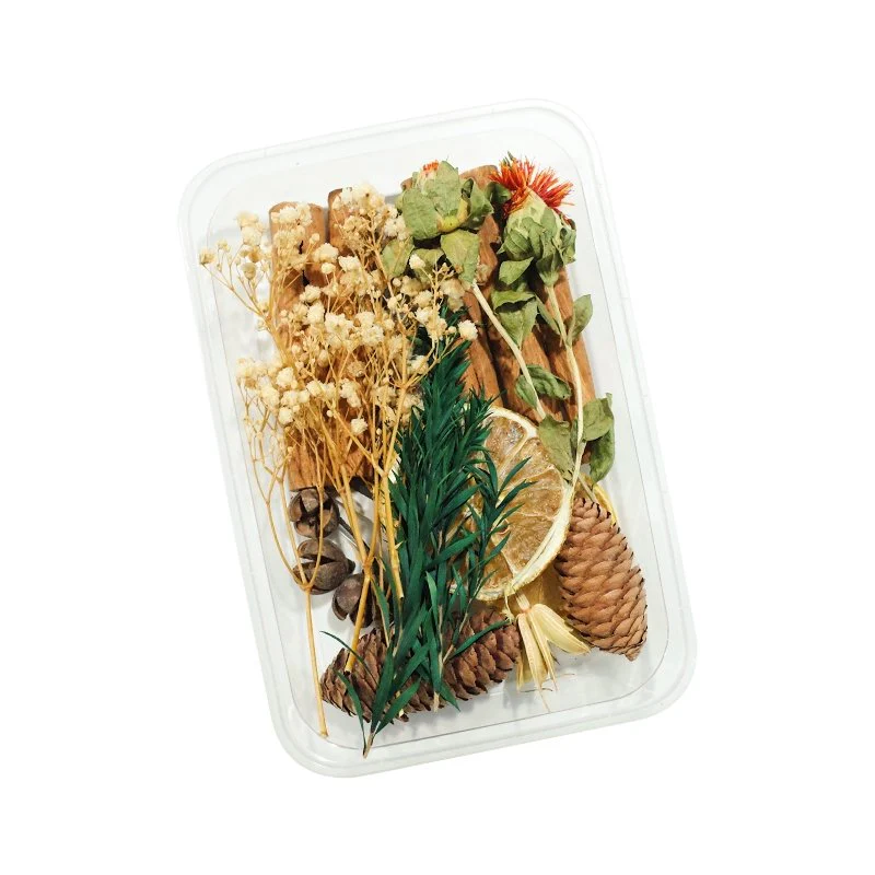 Preserved Flowers for Crafts - Image 3