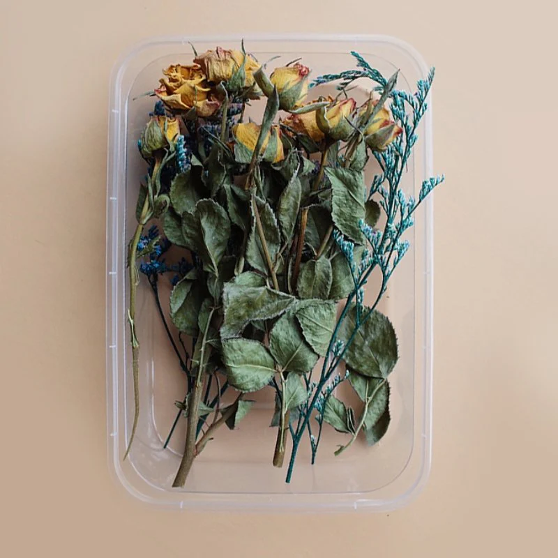Preserved Flowers for Crafts - Image 31