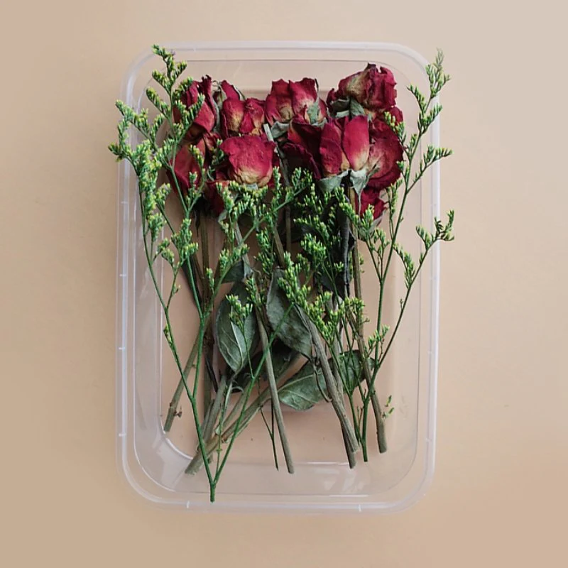 Preserved Flowers for Crafts - Image 32