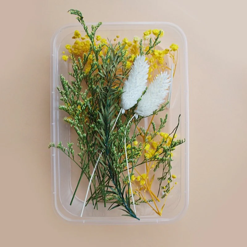 Preserved Flowers for Crafts - Image 33