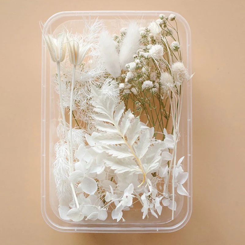 Preserved Flowers for Crafts - Image 5
