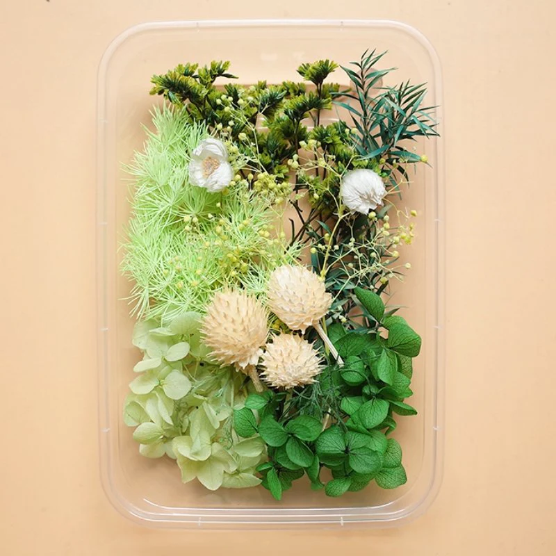 Preserved Flowers for Crafts - Image 6