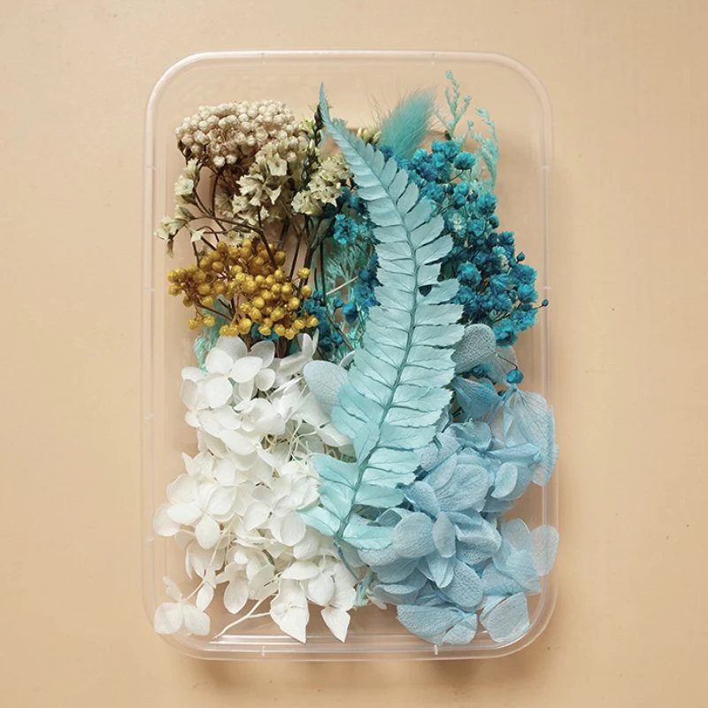 Preserved Flowers for Crafts - Image 8